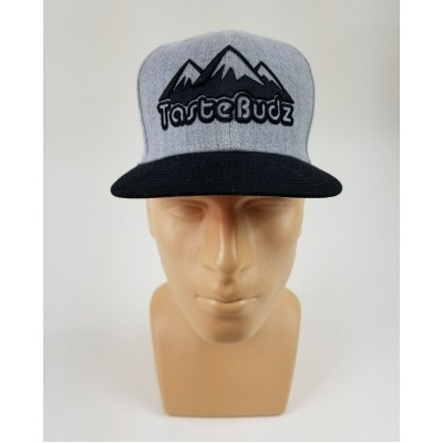 Tastebudz Snapback Hat Gray   eb-18579635